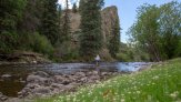 South-Fork-Wedding_Arbor-House-Inn_Colorado-Mountain-Elopement_Ashography_0216