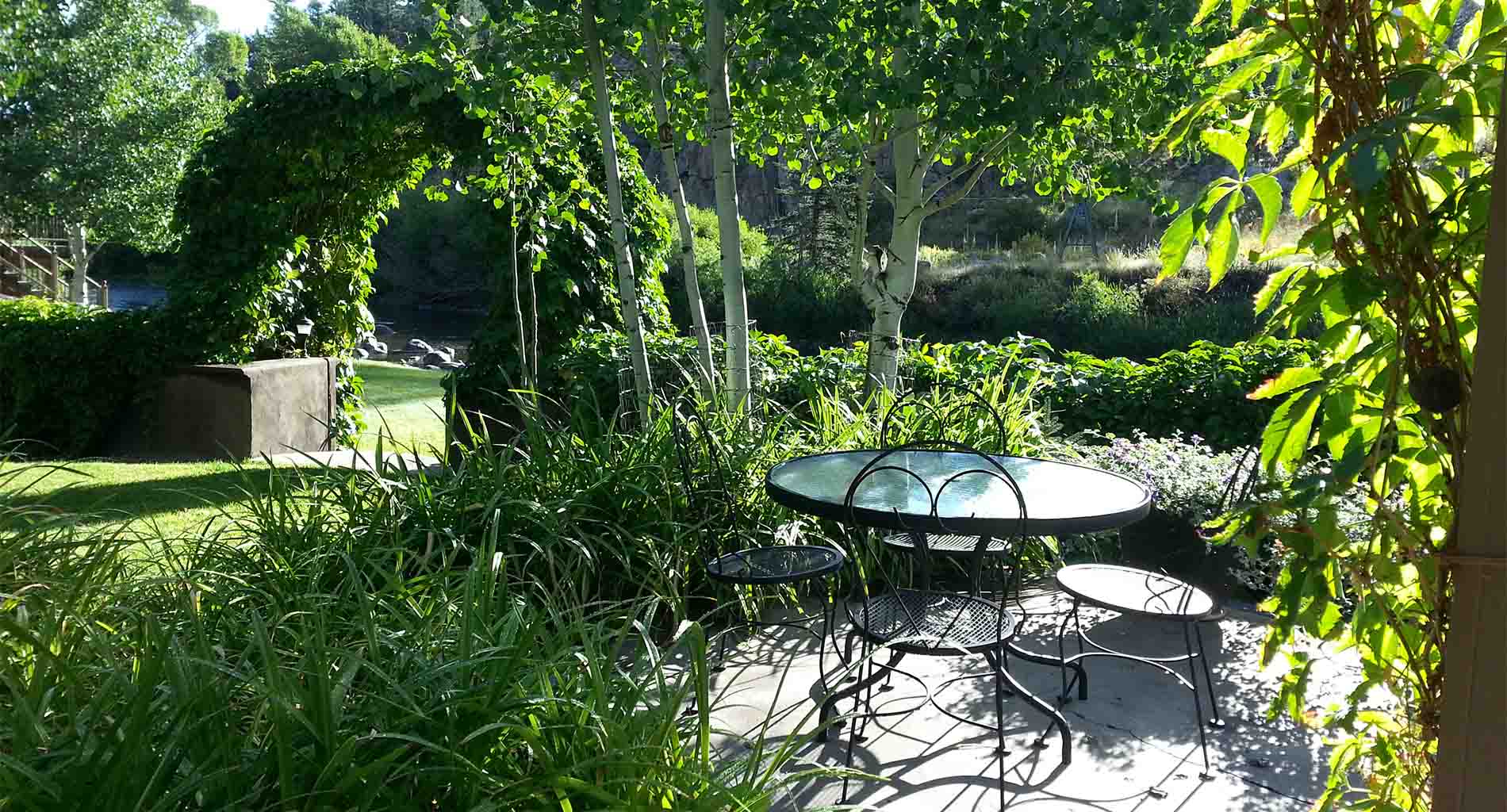 Early morning on the patio with flowers, green trees and vines