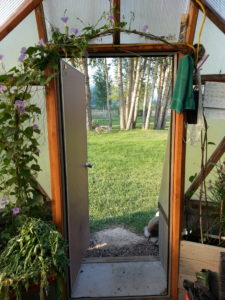 vine covered doorway to a green house