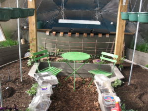 table and chairs set up in a green house