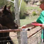 A man in a green shirt, holding his son, shares some food with the dark brown horse