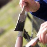 two hands holding two paintbrushes are painting a rail dark brown